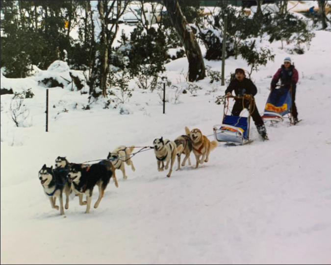 Wayne & their all Siberian team